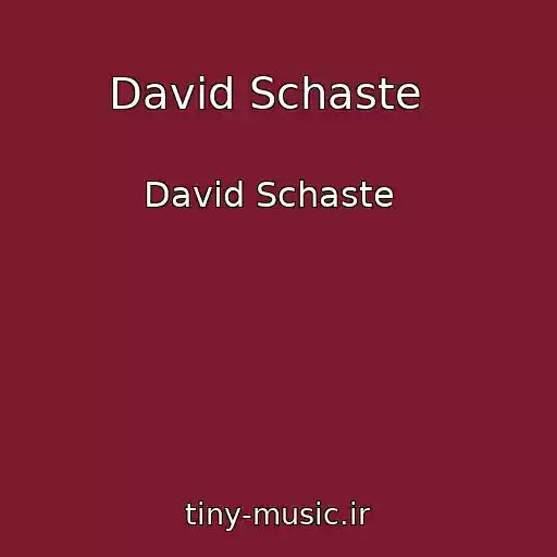 کاور آهنگ David Schaste   از David Schaste  