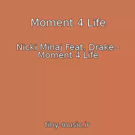 کاور آهنگ Moment 4 Life از Nicki Minaj Feat. Drake - Moment 4 Life