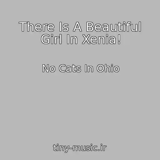 کاور آهنگ There Is A Beautiful Girl In Xenia! از No Cats In Ohio