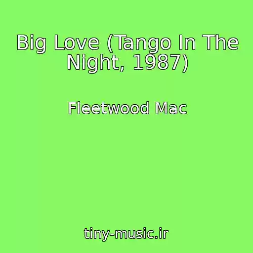 کاور آهنگ Big Love (Tango In The Night, 1987) از Fleetwood Mac