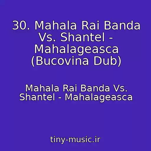 کاور آهنگ 30. Mahala Rai Banda Vs. Shantel - Mahalageasca (Bucovina Dub) از Mahala Rai Banda Vs. Shantel - Mahalageasca