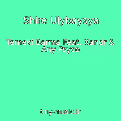 کاور آهنگ Shire Ulybaysya از Temeki Barma Feat. Xandr & Any Psyco