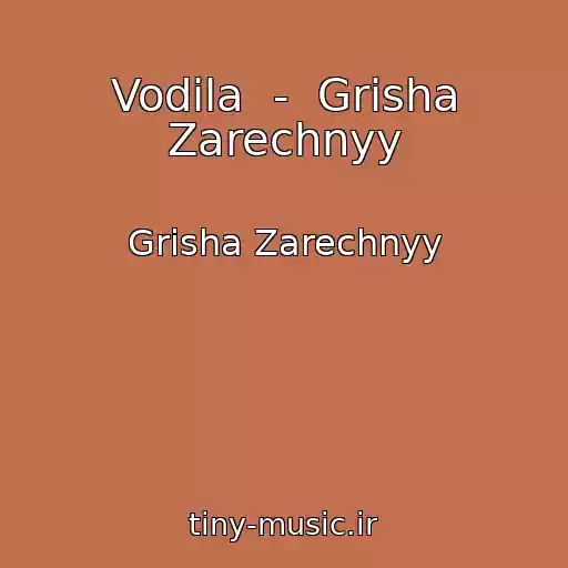 کاور آهنگ Vodila  -  Grisha Zarechnyy از Grisha Zarechnyy