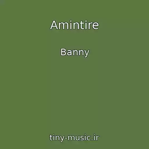 کاور آهنگ Amintire از Banny