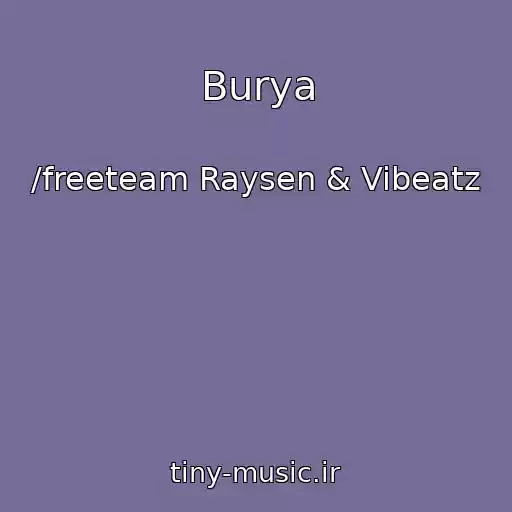 کاور آهنگ Burya از /freeteam Raysen & Vibeatz