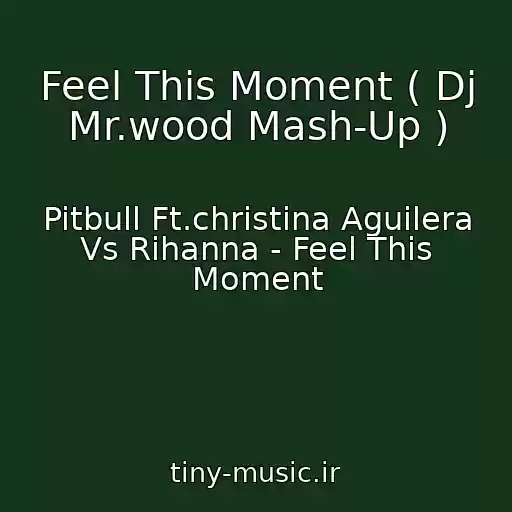کاور آهنگ Feel This Moment ( Dj Mr.wood Mash-Up ) از Pitbull Ft.christina Aguilera Vs Rihanna - Feel This Moment