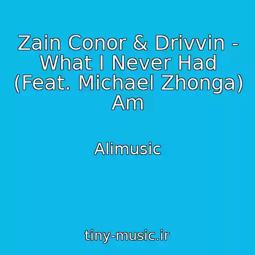 کاور آهنگ Zain Conor & Drivvin - What I Never Had (Feat. Michael Zhonga) Am از Alimusic