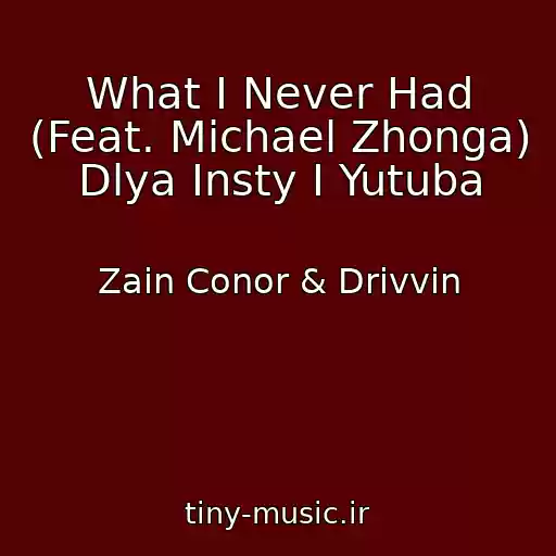کاور آهنگ What I Never Had (Feat. Michael Zhonga) Dlya Insty I Yutuba از Zain Conor & Drivvin