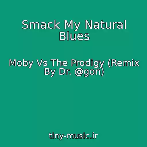 کاور آهنگ Smack My Natural Blues از Moby Vs The Prodigy (Remix By Dr. @gon)