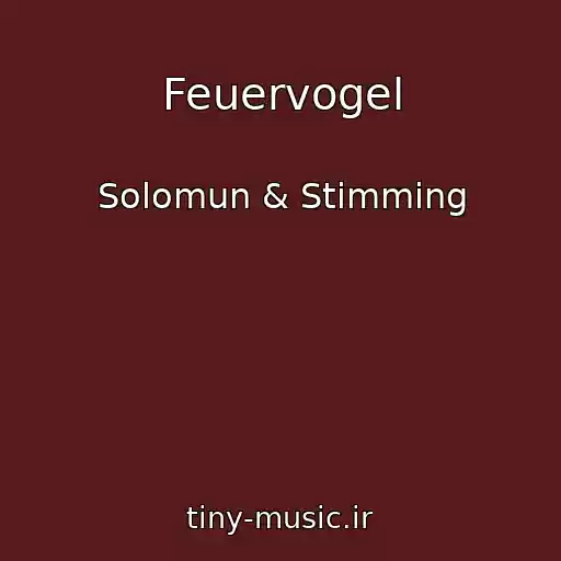 کاور آهنگ Feuervogel از Solomun & Stimming