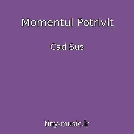 کاور آهنگ Momentul Potrivit از Cad Sus