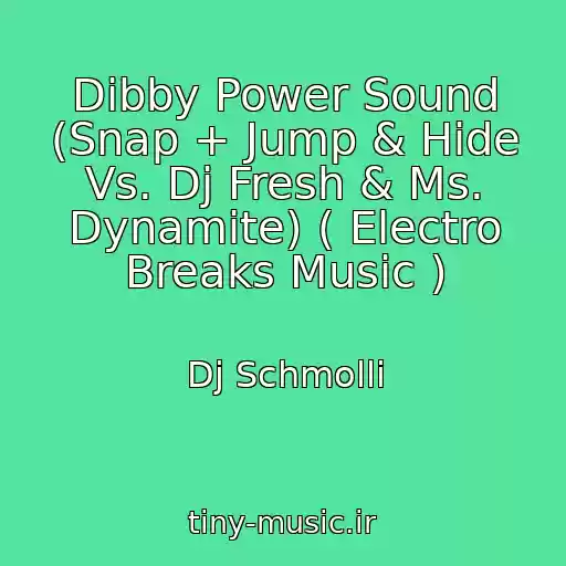 کاور آهنگ Dibby Power Sound (Snap + Jump & Hide Vs. Dj Fresh & Ms. Dynamite) ( Electro Breaks Music ) از Dj Schmolli