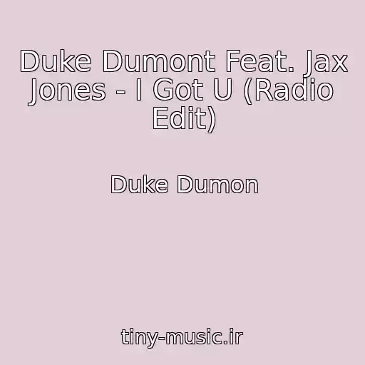 کاور آهنگ Duke Dumont Feat. Jax Jones - I Got U (Radio Edit) از Duke Dumon