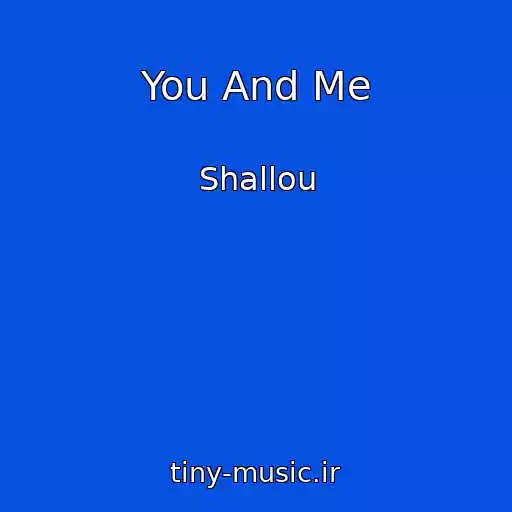 کاور آهنگ You And Me از Shallou