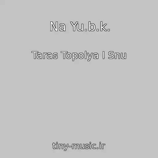 کاور آهنگ Na Yu.b.k. از Taras Topolya I Snu