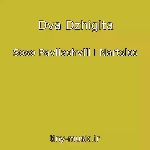 کاور آهنگ Dva Dzhigita از Soso Pavliashvili I Nartsiss