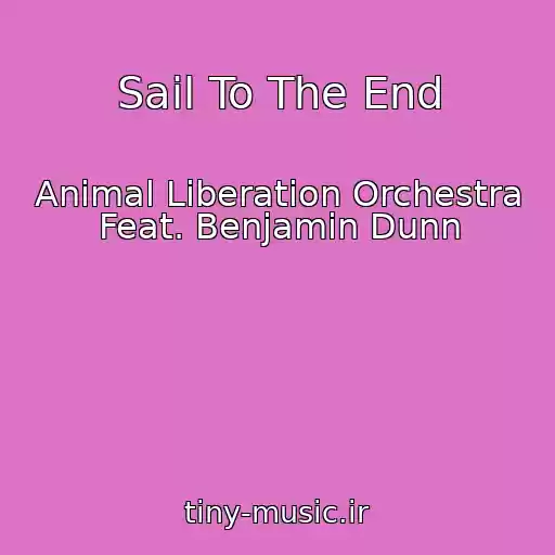 کاور آهنگ Sail To The End از Animal Liberation Orchestra Feat. Benjamin Dunn