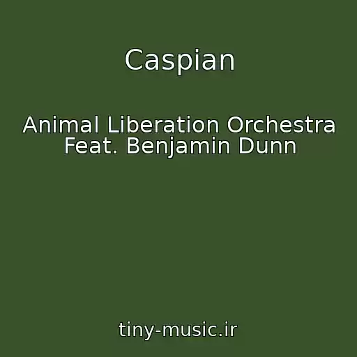 کاور آهنگ Caspian از Animal Liberation Orchestra Feat. Benjamin Dunn