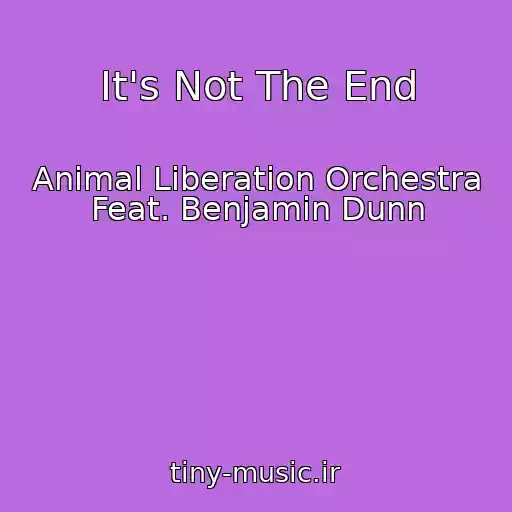 کاور آهنگ It's Not The End از Animal Liberation Orchestra Feat. Benjamin Dunn