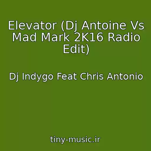 کاور آهنگ Elevator (Dj Antoine Vs Mad Mark 2K16 Radio Edit) از Dj Indygo Feat Chris Antonio