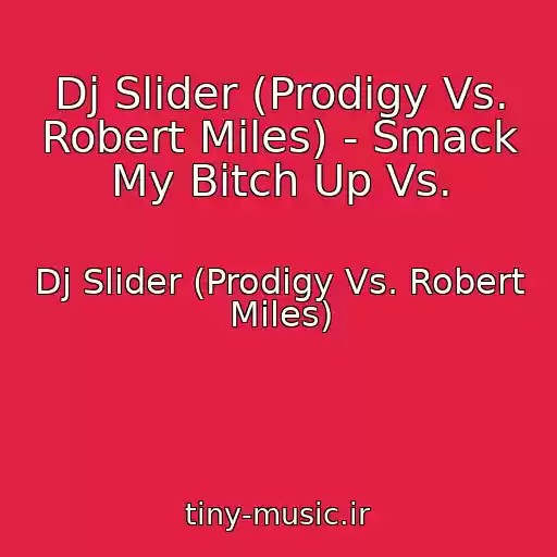 کاور آهنگ Dj Slider (Prodigy Vs. Robert Miles) - Smack My Bitch Up Vs. از Dj Slider (Prodigy Vs. Robert Miles)