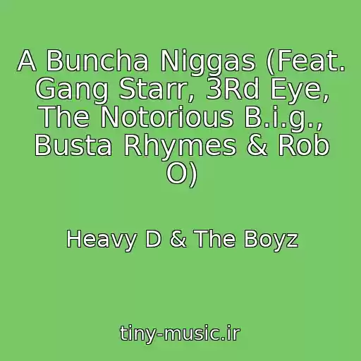 کاور آهنگ A Buncha Niggas (Feat. Gang Starr, 3Rd Eye, The Notorious B.i.g., Busta Rhymes & Rob O) از Heavy D & The Boyz