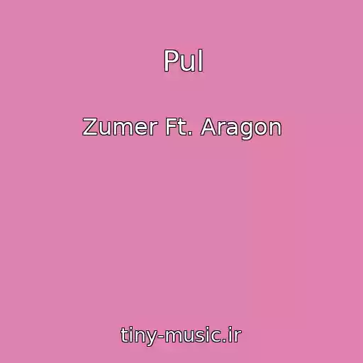 کاور آهنگ Pul از Zumer Ft. Aragon