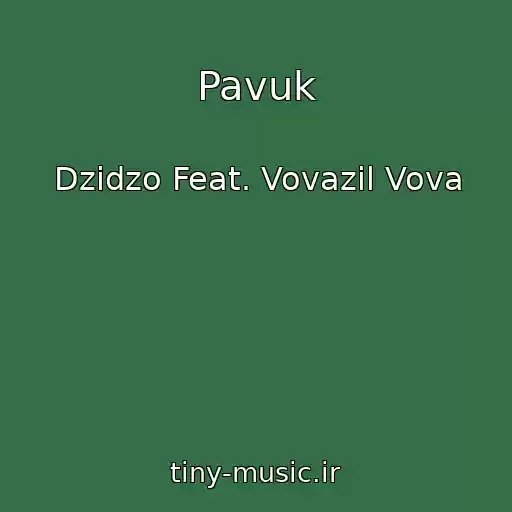 کاور آهنگ Pavuk از Dzіdzo Feat. Vovazil Vova