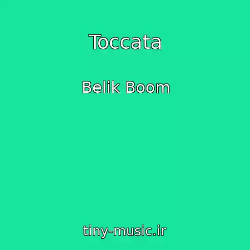 کاور آهنگ Toccata از Belik Boom