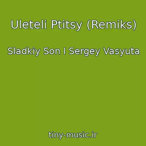 کاور آهنگ Uleteli Ptitsy (Remiks) از Sladkiy Son I Sergey Vasyuta
