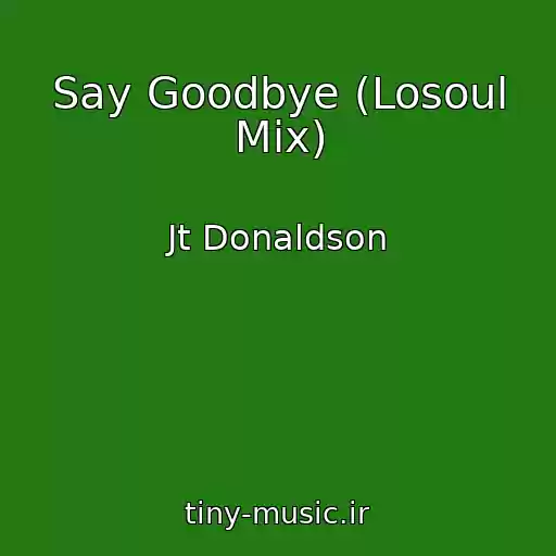 کاور آهنگ Say Goodbye (Losoul Mix) از Jt Donaldson