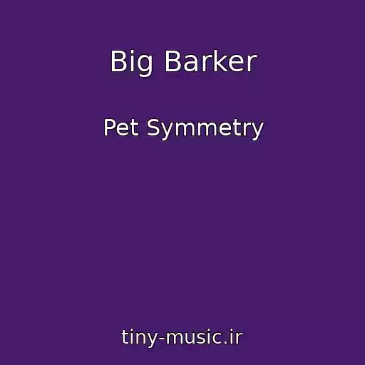 کاور آهنگ Big Barker از Pet Symmetry