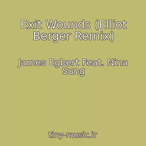کاور آهنگ Exit Wounds (Elliot Berger Remix) از James Egbert Feat. Nina Sung