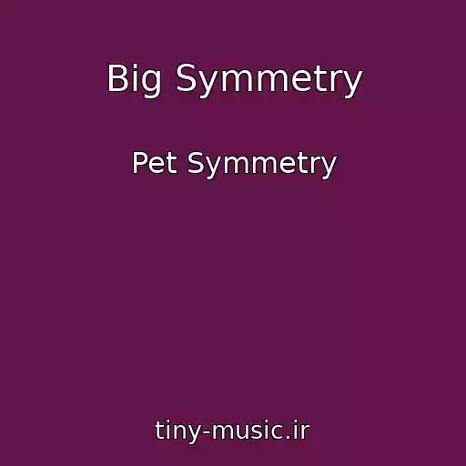 کاور آهنگ Big Symmetry از Pet Symmetry