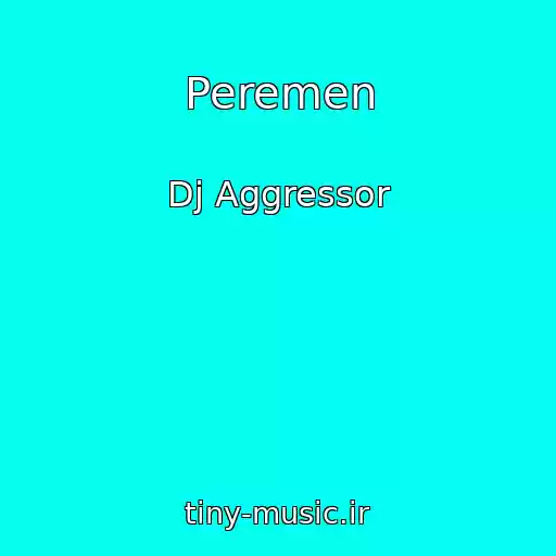 کاور آهنگ Peremen از Dj Aggressor