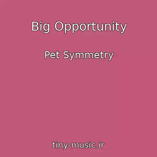 کاور آهنگ Big Opportunity از Pet Symmetry