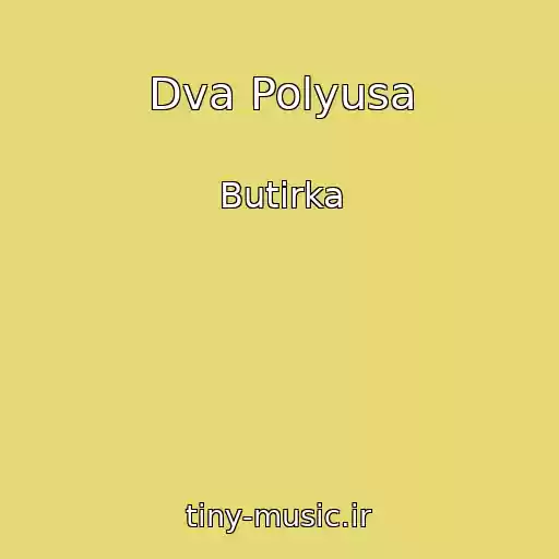 کاور آهنگ Dva Polyusa از Butirka