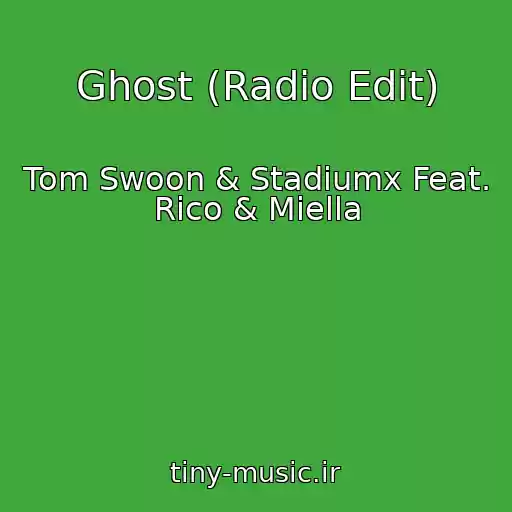 کاور آهنگ Ghost (Radio Edit) از Tom Swoon & Stadiumx Feat. Rico & Miella