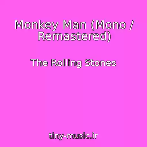 کاور آهنگ Monkey Man (Mono / Remastered) از The Rolling Stones