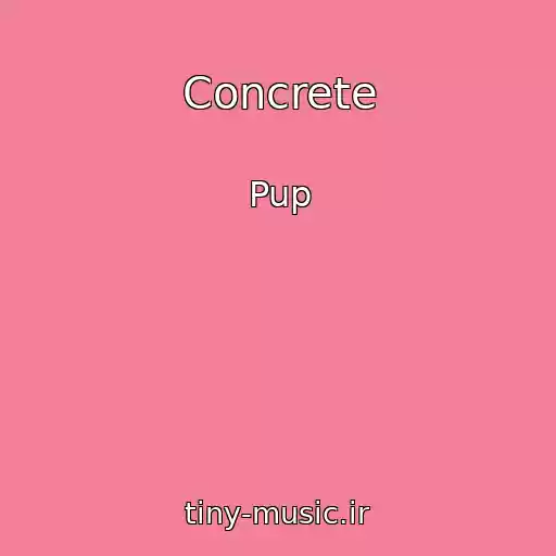 کاور آهنگ Concrete از Pup