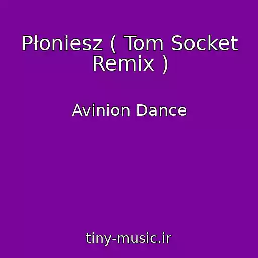 کاور آهنگ Płoniesz ( Tom Socket Remix ) از Avinion Dance