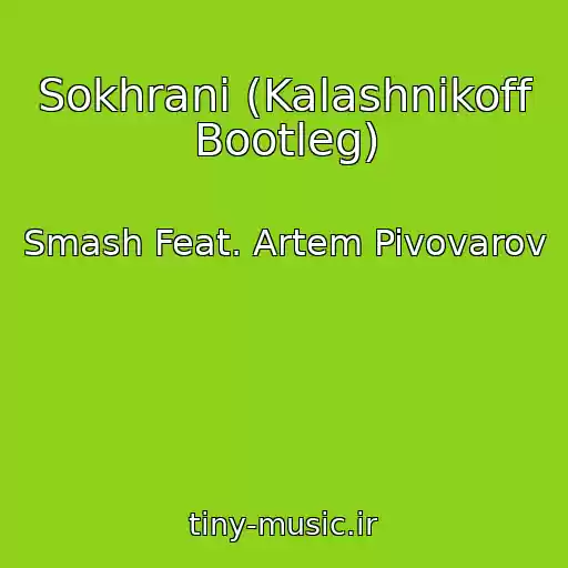 کاور آهنگ Sokhrani (Kalashnikoff Bootleg) از Smash Feat. Artem Pivovarov