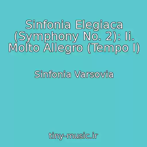 کاور آهنگ Sinfonia Elegiaca (Symphony No. 2): Ii. Molto Allegro (Tempo I) از Sinfonia Varsovia