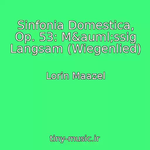 کاور آهنگ Sinfonia Domestica, Op. 53: M&auml;ssig Langsam (Wiegenlied) از Lorin Maazel