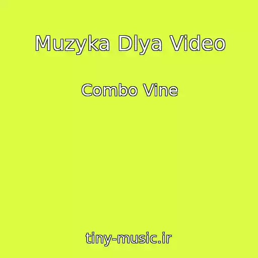 کاور آهنگ Muzyka Dlya Video از Combo Vine