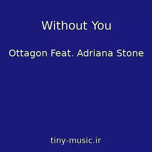 کاور آهنگ Without You از Ottagon Feat. Adriana Stone