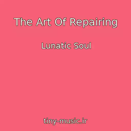 کاور آهنگ The Art Of Repairing از Lunatic Soul
