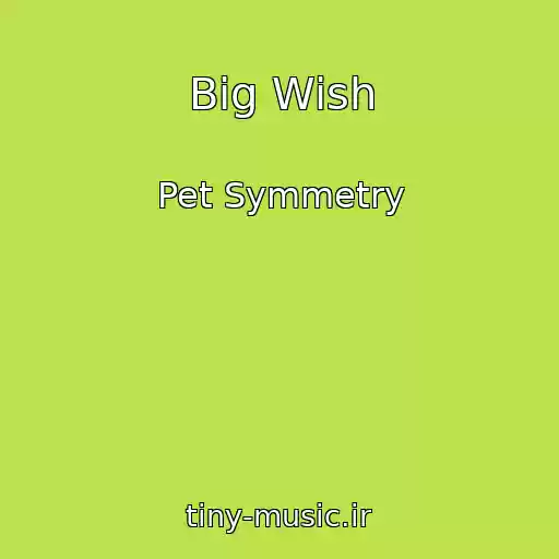 کاور آهنگ Big Wish از Pet Symmetry