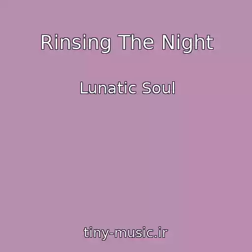 کاور آهنگ Rinsing The Night از Lunatic Soul