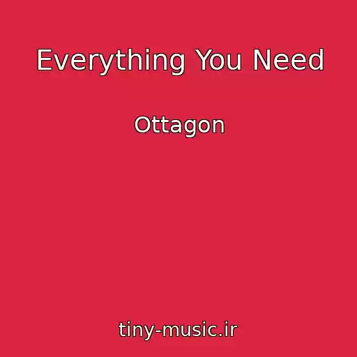 کاور آهنگ Everything You Need از Ottagon